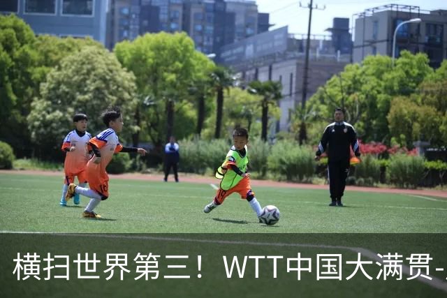 横扫世界第三！WTT中国大满贯-周启豪3-0张本智和 携松岛辉空进8强